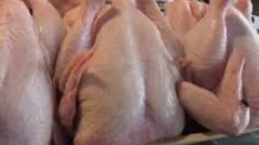 Salmonella, depistată în carne de pui de la Selgros Suceava: Inspectorii au retras 3,4 tone