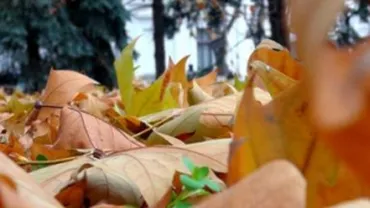 Vreme frumoasă și mai caldă decât normele pentru această perioadă a anului. Vezi prognoza meteo pentru sfârșitul de săptămână