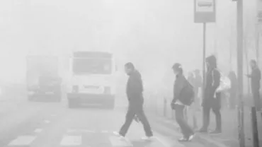 Cod galben de ceață în șapte județe și București