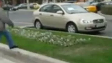 Bucureștiul lui Oprescu: Trecerile de pietoni se termină în panseluțe, iar semnele de circulație pun în dificultate șoferii (VIDEO)