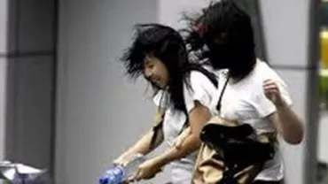 ANM a emis cod galben de vânt pentru patru județe: Rafalele vor atinge și 80 de km/h