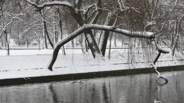 București: Un bărbat a fost găsit spânzurat în parcul IOR