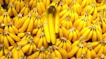 Aproximativ 20 de tone de banane, confiscate de polițiști, la intrarea în țară