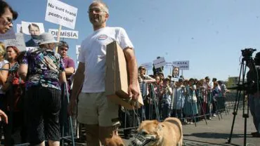 Protest la Guvern, față de tergiversarea legii maidanezilor