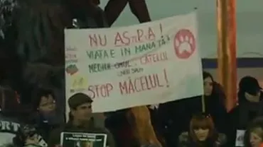 Protest cu îmbrânceli în București: Sute de persoane au manifestat în solidaritate cu localnici din Pungești (VIDEO)