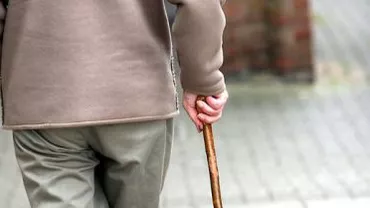 Pitești: Un pensionar a fost amendat pentru că a luat la înjurături un câine