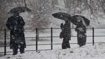 ANM: Informare meteorologică de ninsori și intensificări ale vântului pentru Moldova, Dobrogea și estul Munteniei