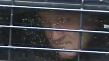 Gigi Becali a fost transferat la penitenciarul Poarta Albă (VIDEO)