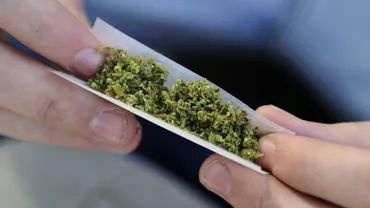 Studiu: O moleculă produsă de creier ar putea reprezenta tratamentul contra dependenţei de canabis