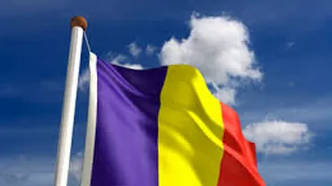 Adolescent din Sfântu Gheorghe, cercetat după ce a aruncat în şanţ un drapel naţional