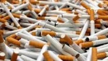 Polițiștii au confiscat peste 74.000 de țigarete fără timbru: 15 suspecți de contrabandă au fost duși la audieri