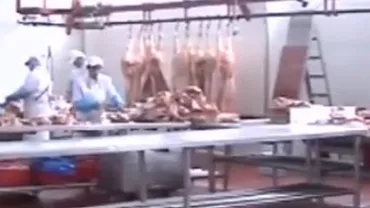 Depozit ilegal de carne, descoperit în București: Peste 3 tone de carne de pui fără acte, livrată către fast-food-uri