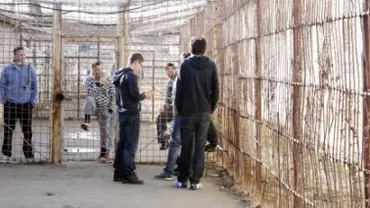 Pitești: Un deținut de la Penitenciarul Colibași a încercat să își ia viața în baia camerei de detenție