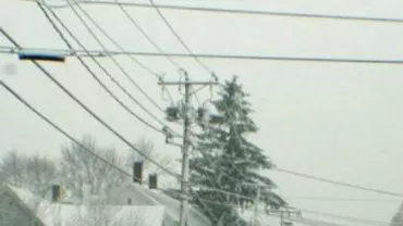 Rețelele electrice din 27 localități din Ilfov și Giurgiu, afectate de viscol