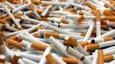 Suceava: Doi bărbați au fost reținuți după ce au fost prinși transportând țigări de contrabandă sub mai mulți baloți de lucernă