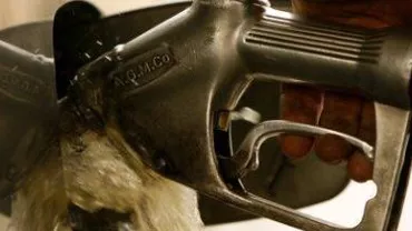 Peste șapte tone de motorină, furate de gestionari și paznici de la două stații de carburanți din Suceava