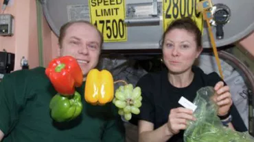Astronauții ruși au recoltat legume la bordul Stației Spațiale Internaționale