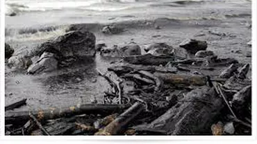 Zeci de tone de carburant s-au scurs în Oceanul Atlantic după eşuarea unei nave în Franţa