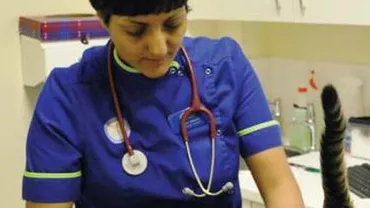 Medicul veterinar care este alergic la animale: Fiecare consultație este chinuitoare