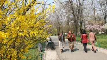 Vreme mai caldă decât normele acestei perioade. Vezi prognoza meteo pentru joi și vineri