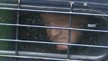 Macovei, despre Becali: Nu văd motive de milostenie în cazul lui, are tot ce îi trebuie acasă