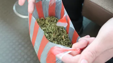 Şase kilograme de marijuana, depistate într-un autocar care circula din Spania spre România
