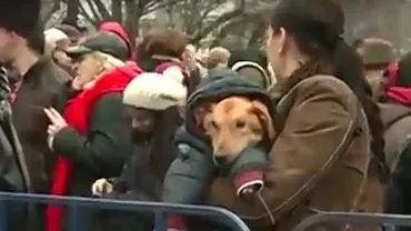București: Aproximativ 300 de persoane protestează faţă de eutanasierea câinilor fără stăpân (VIDEO)