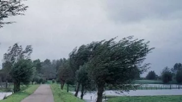 ANM: Cod galben de vijelii în București și pe raza a zece județe din sudul și estul țării