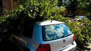 București: Un copac a căzut pe un autoturism parcat, din cauza vântului puternic
