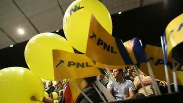 PNL: Parlamentarii vizați de ANI au dreptul de a contesta raportul de evaluare în justiție