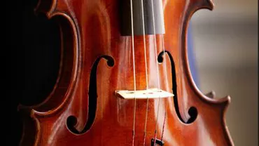 O violă Stradivarius, valorând peste 45 de milioane de dolari, a fost scoasă la vânzare