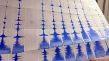 Cutremur cu magnitudine 3,1 produs în Vrancea