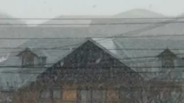 Fenomen extrem: Ninsoare și ger în județul Suceava, în luna aprilie (VIDEO)