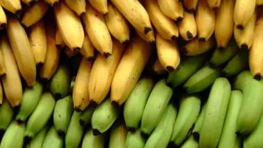 Producția mondială de banane, pusă în pericol de o ciupercă care distruge culturile din Asia