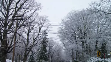 Cod galben de ploi și ninsori în 12 județe din centrul și nordul țării