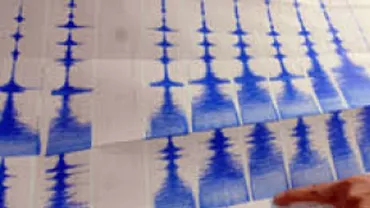 Cutremur de 3,4 pe scara Richter, înregistrat în județul Vrancea