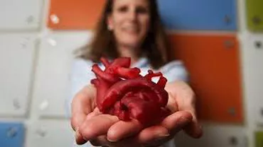 O inimă din celulele pacientului ar putea fi creată cu ajutorul imprimantelor 3D