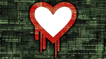 Circa 1.000 de site-uri din Ungaria, afectate de heartbleed