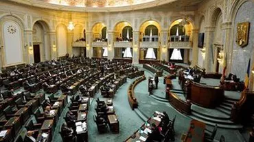 Senatorii și-au votat o mega-vacanță până pe 26 mai: Parlamentarii se vor ocupa în această perioadă de campania electorală (VIDEO)