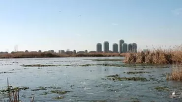 CGMB a aprobat ca ”Delta Bucureștiului” să capete statutul de parc natural