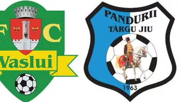 Liga I: FC Vaslui- Pandurii Târgu Jiu, scor 1-0