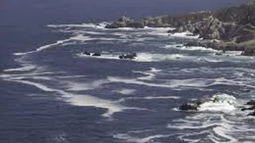 Naufragiu în largul coastelor libiene: Cel puțin 14 morți și 215 persoane salvate