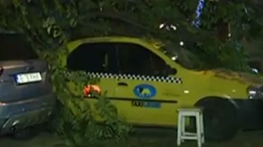 Mașini din Sectorul 2 al Capitalei, distruse de un copac căzut (VIDEO)