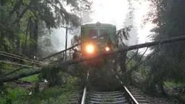 Trafic feroviar blocat în Suceava după ce un copac a căzut peste o locomotivă
