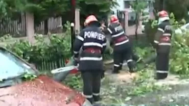 Șase copaci s-au prăbușit în București: Două mașini au fost avariate (VIDEO)