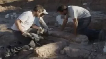 Rămășițele unui dinozaur de 100 tone, descoperite în Argentina (VIDEO)
