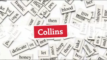 Twitter, folosit ca instrument de identificare a neologismelor ce vor fi incluse în Dicţionarele Collins