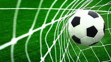 LPF a votat modificări pentru Liga I: Vor fi 14 echipe din sezonul 2015-2016