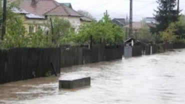 Cod galben de inundaţii pe râuri din judeţele Timiş, Bihor, Alba şi Cluj