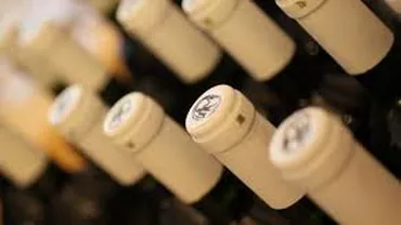 Fabrică ilegală de vin, descoperită la Constanța: Peste 30 de tone de vin, confiscate